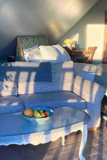 דורצ'סטר און תמז The Nest Bnb 'Mini Suite' מראה חיצוני תמונה