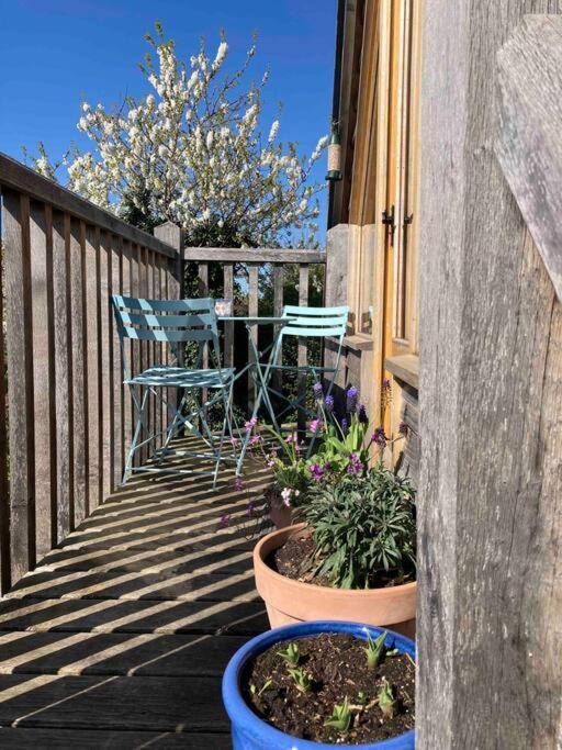 דורצ'סטר און תמז The Nest Bnb 'Mini Suite' מראה חיצוני תמונה